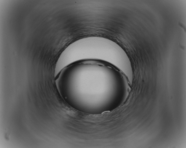 X0000091370041200708241344