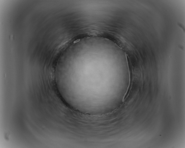 X0000091370043200708241344