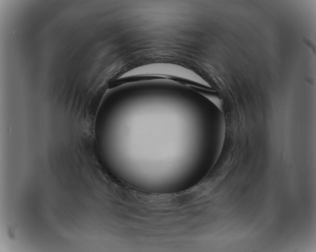 X0000091370044200708241344