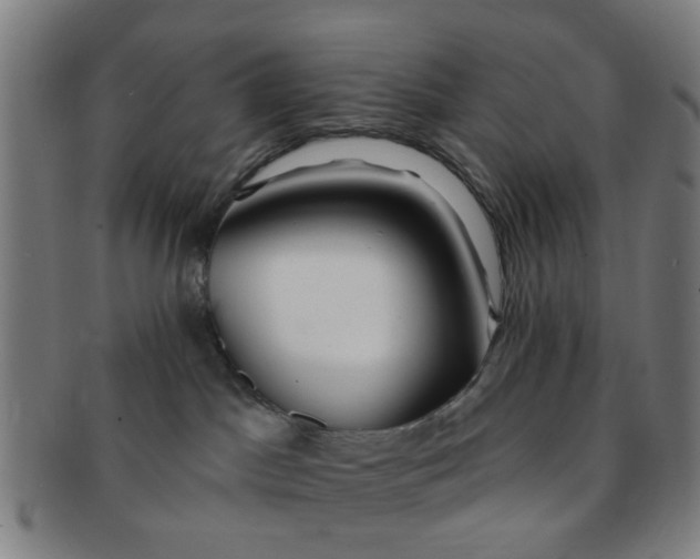 X0000091370045200708241344