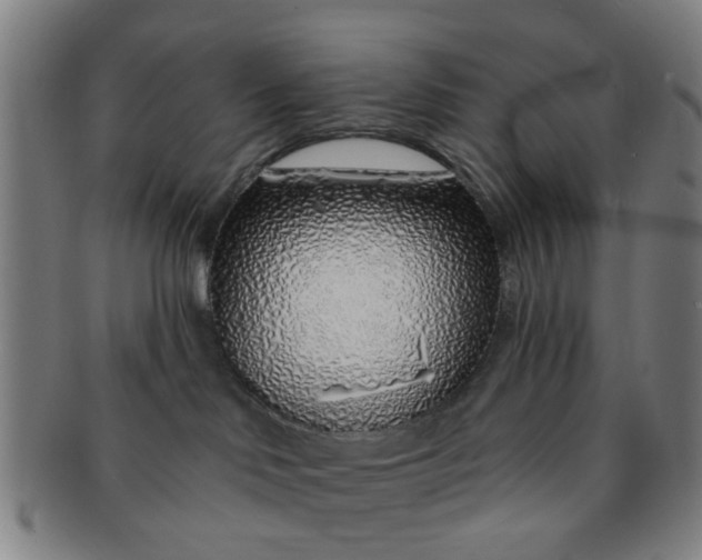 X0000091370046200708241344