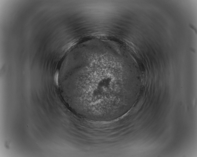 X0000091370047200708241344