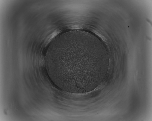 X0000091370048200708241343