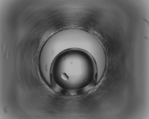 X0000091370049200708241343