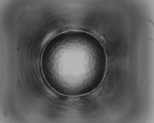 X0000091370051200708241343