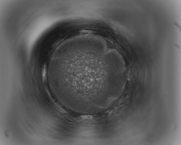 X0000091370052200708241343