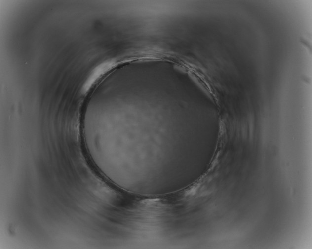 X0000091370054200708241343