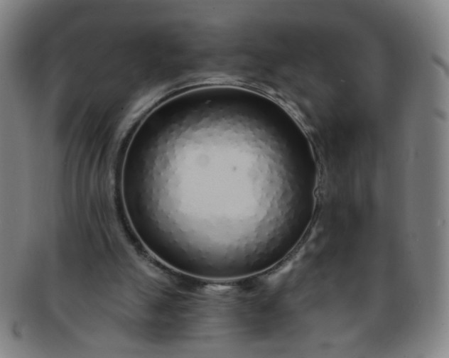 X0000091370055200708241343