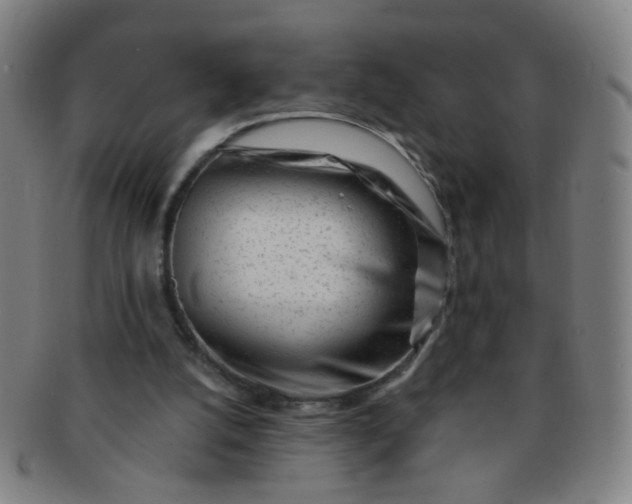 X0000091370056200708241343