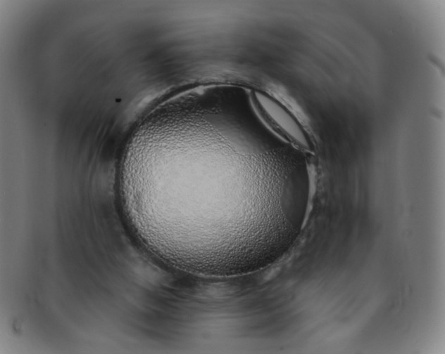 X0000091370058200708241343