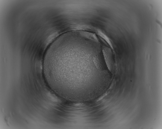 X0000091370059200708241343