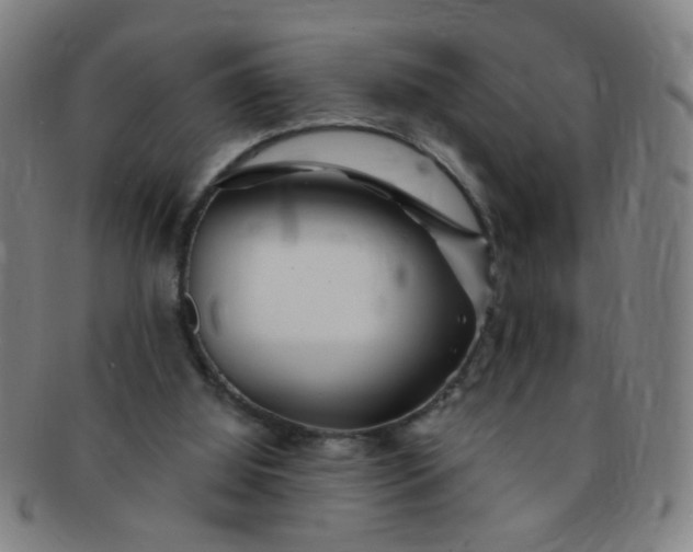 X0000091370060200708241343