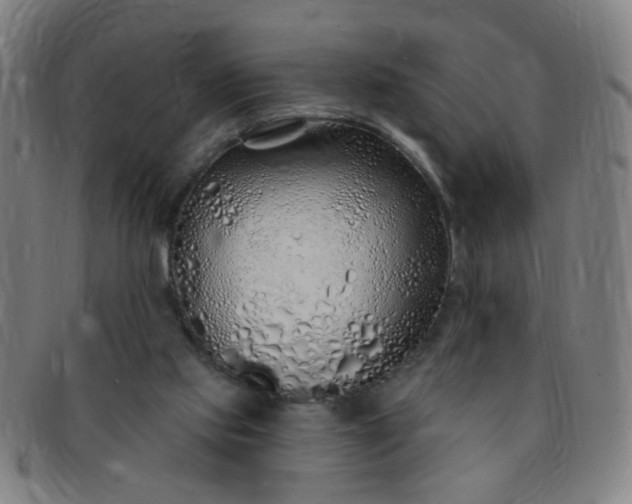 X0000091370061200708241343