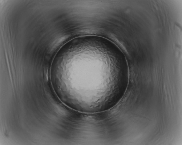 X0000091370062200708241343