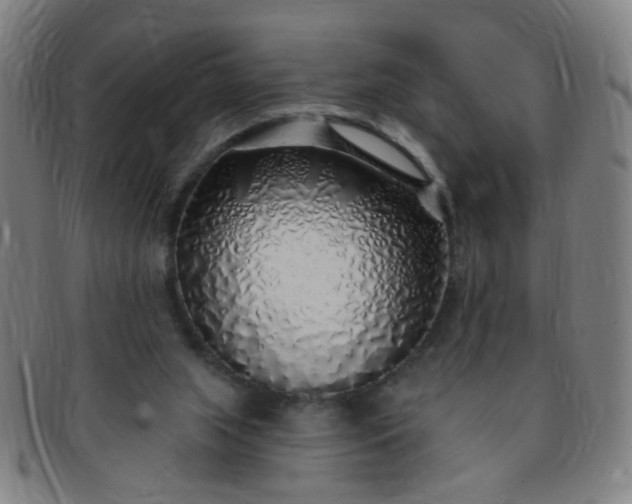 X0000091370063200708241343