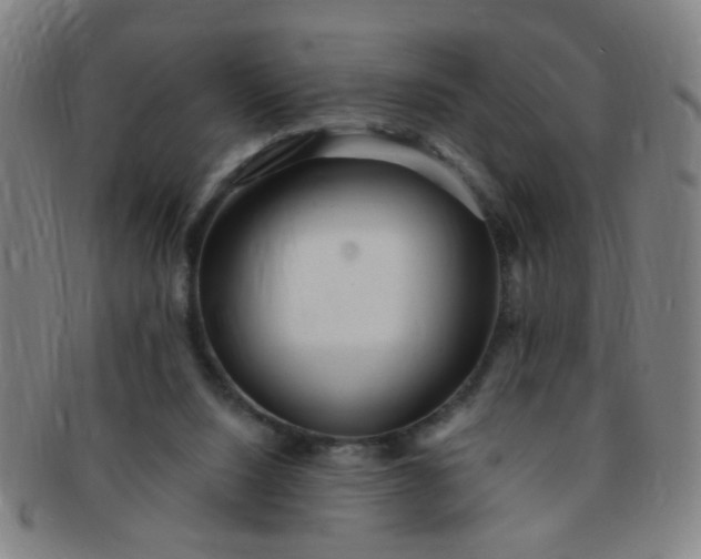 X0000091370064200708241343