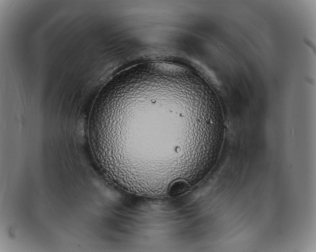 X0000091370065200708241343