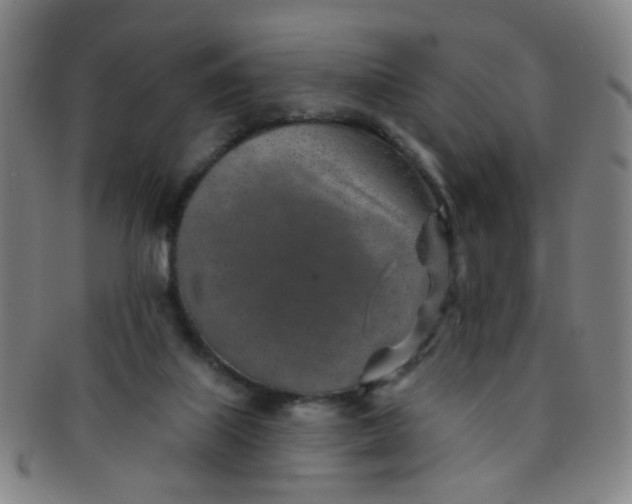 X0000091370067200708241343