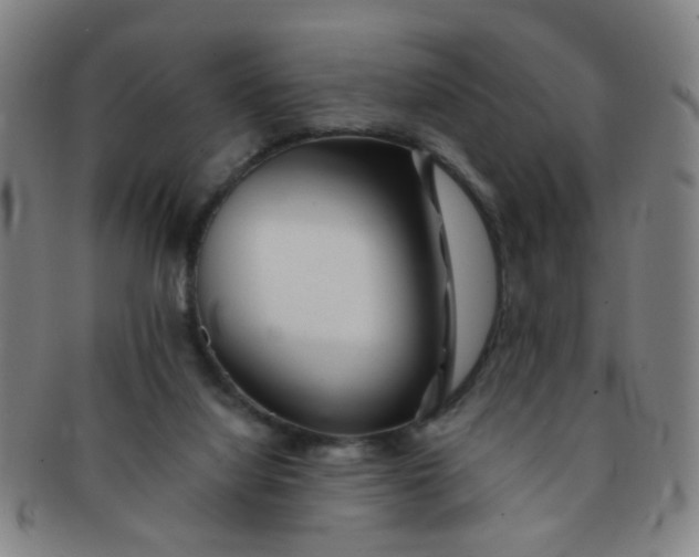 X0000091370068200708241343