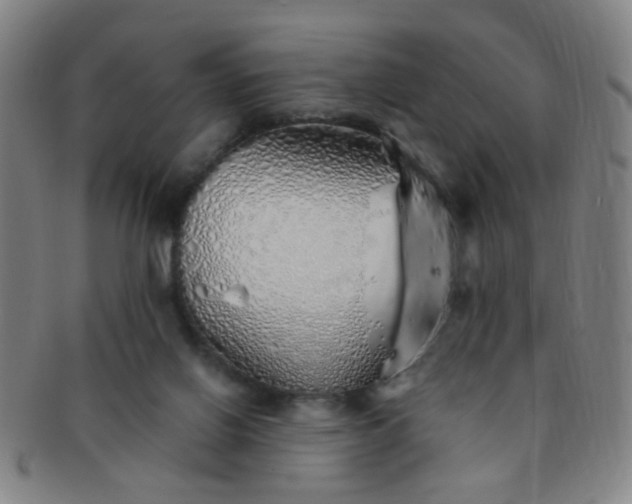 X0000091370070200708241343