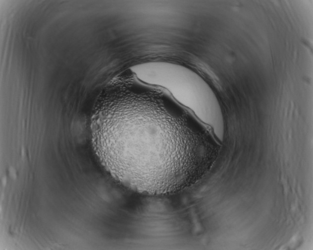 X0000091370073200708241343