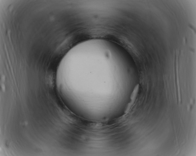 X0000091370074200708241343