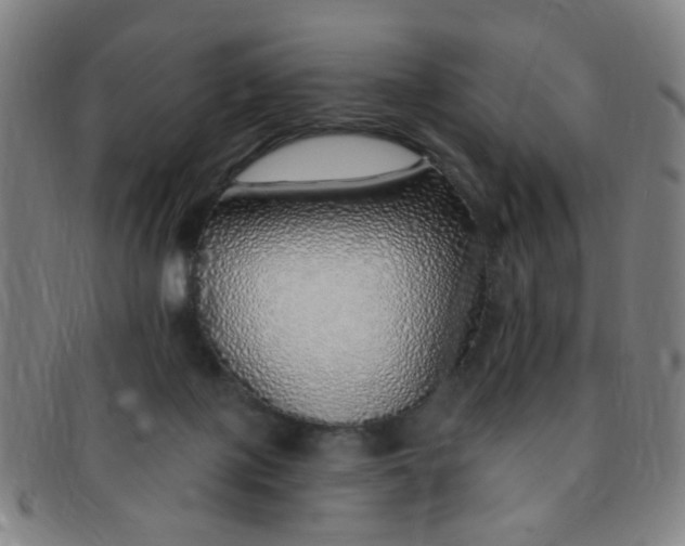 X0000091370075200708241343