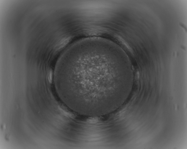 X0000091370076200708241343