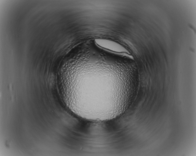 X0000091370077200708241343