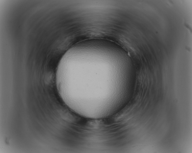 X0000091370079200708241343