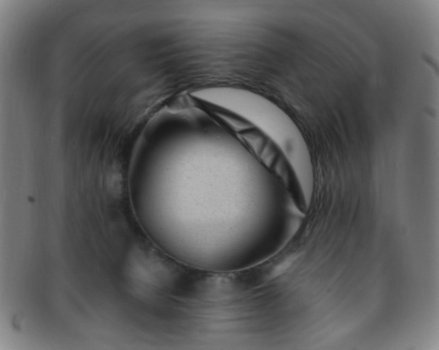 X0000091370080200708241343