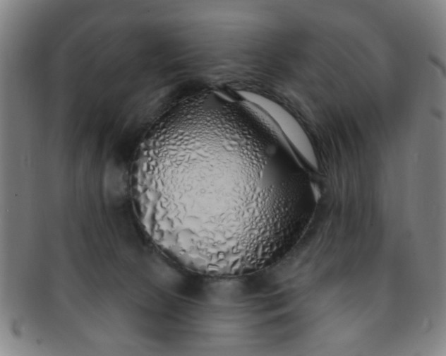 X0000091370081200708241343