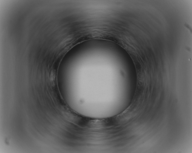 X0000091370082200708241343