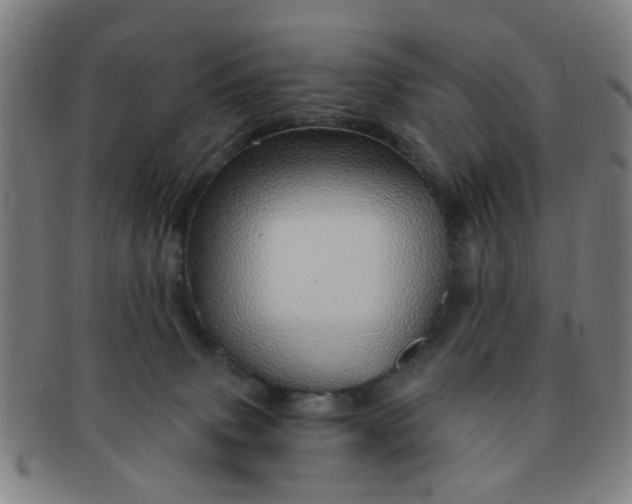 X0000091370083200708241343