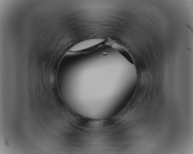 X0000091370084200708241343