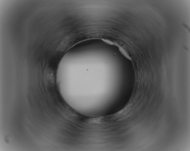 X0000091370086200708241343