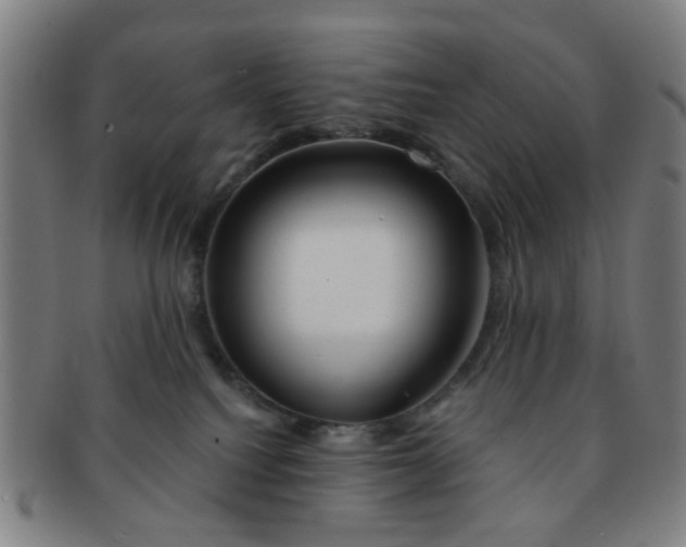 X0000091370088200708241343