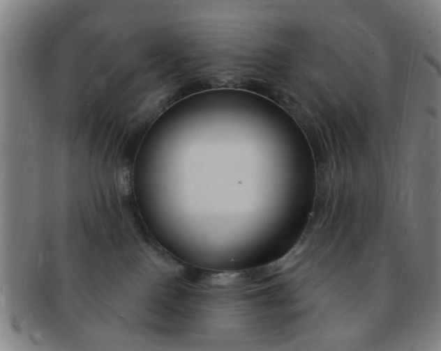 X0000091370090200708241343