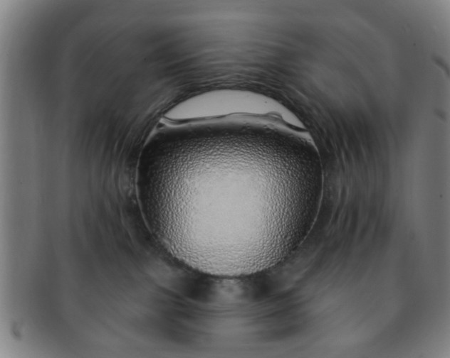 X0000091370091200708241343