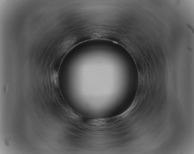 X0000091370094200708241343