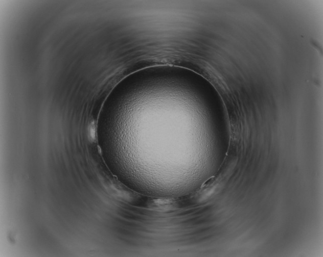 X0000091370095200708241343