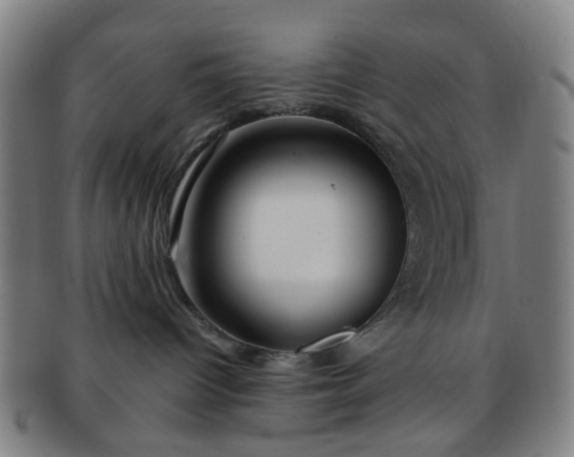 X0000091370096200708241343