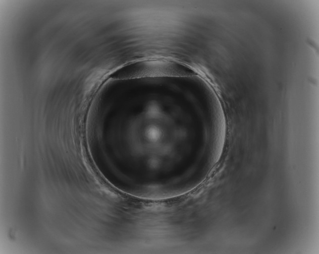 X0000091370097200708241343