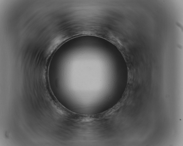 X0000091370098200708241343