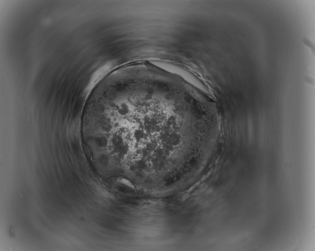 X0000091370099200708241343