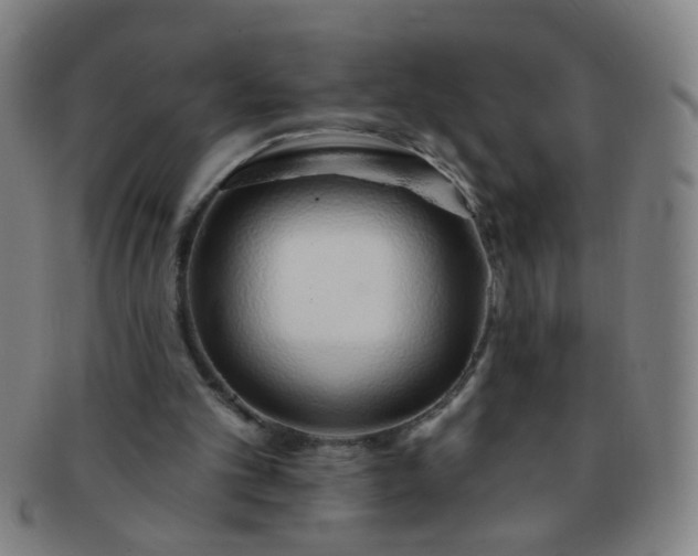 X0000091370101200708241343