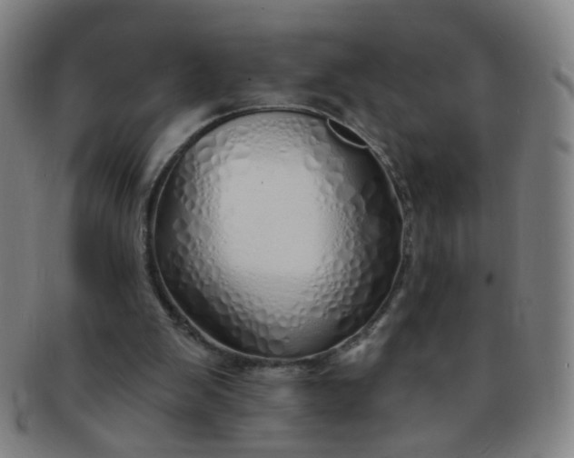 X0000091370103200708241343