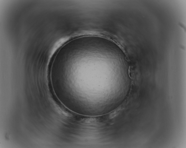 X0000091370104200708241343