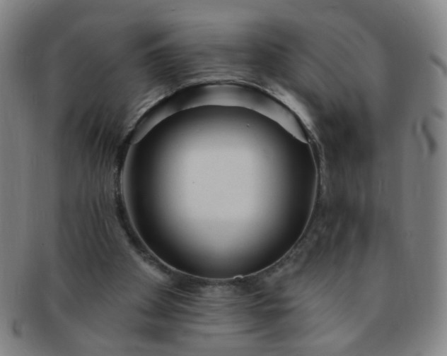 X0000091370105200708241343