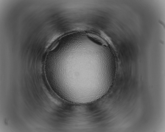 X0000091370106200708241343